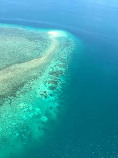 The Great Barrier Reef is under pressure from farming run-off, development, the coral-eating crown-of-thorns starfish as well as