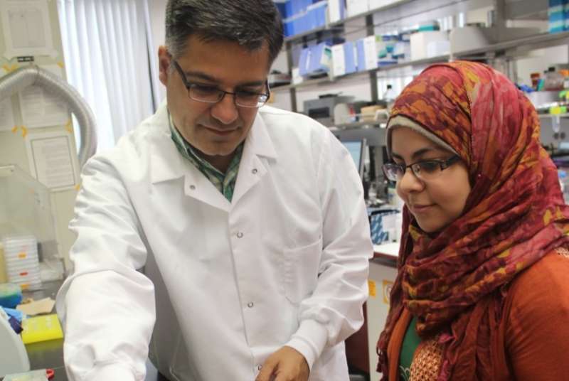 Virginia Tech team unravels mystery of bacteria's antibiotic resistance