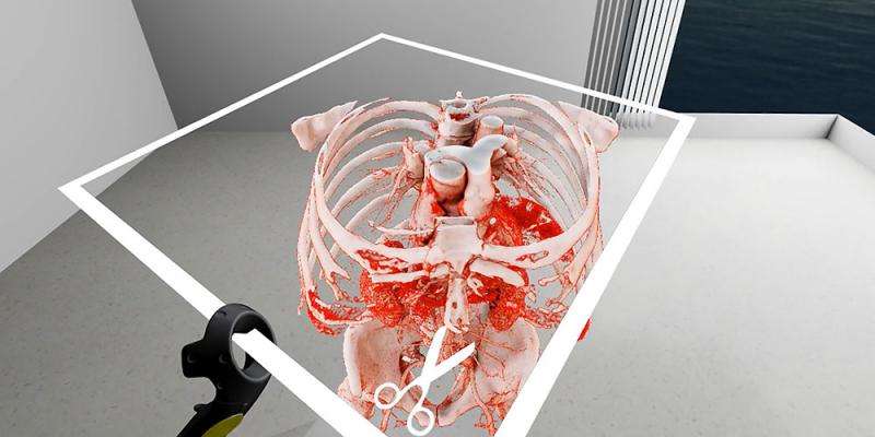 Virtual reality in medicine—new opportunities for diagnostics and surgical planning