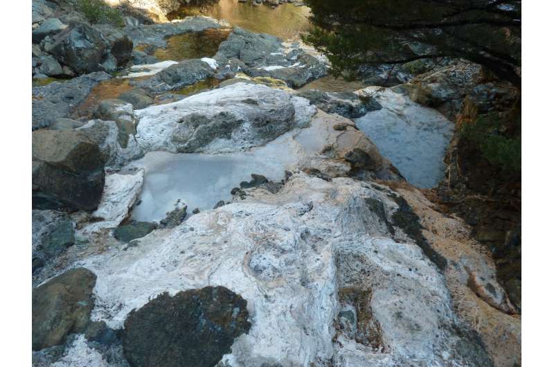 Scientists discover methane-producing microbes in California rocks