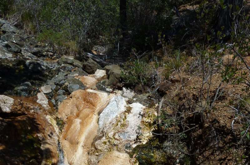 Scientists discover methane-producing microbes in California rocks