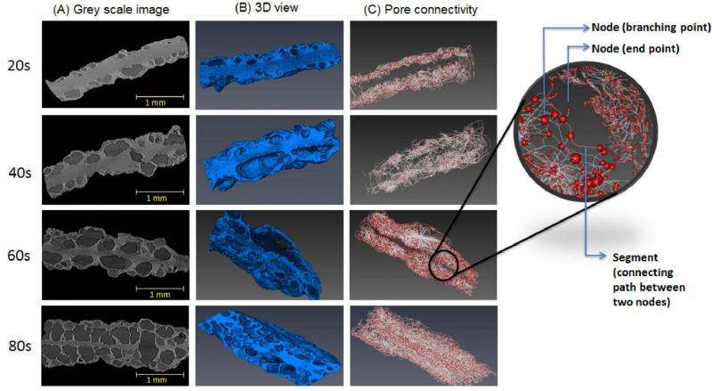 3-D micro X-ray images help answer questions about fried foods' internal structure