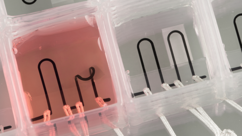 3D-printed organ-on-a-chip with integrated sensors