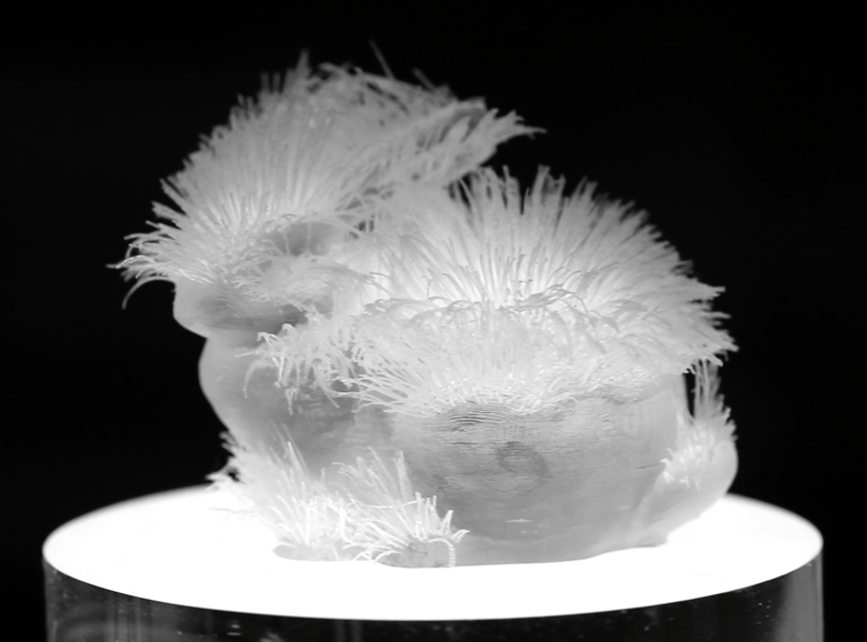 3-D printing hair structures opens up fascinating design space