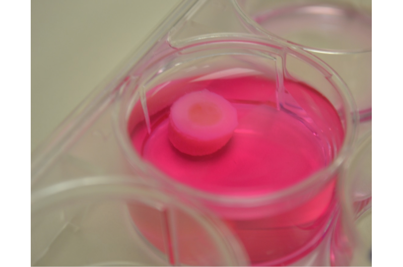 3-D printing produces cartilage from strands of bioink