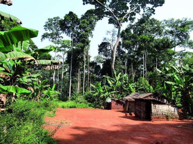 Biodiversity conservation policies in tropical forests threaten the livelihood of indigenous peoples