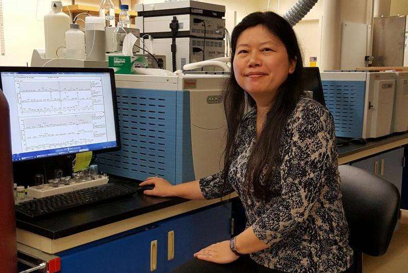 Carbon dioxide conversion process may be adapted for biofuel synthesis