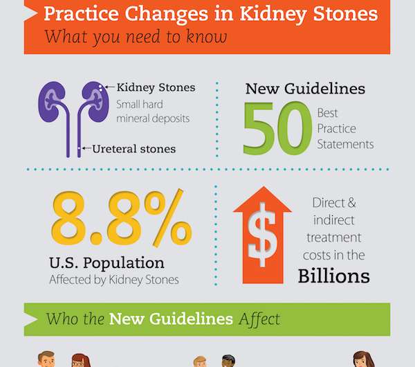 New guidelines published for physicians treating patients with kidney stones