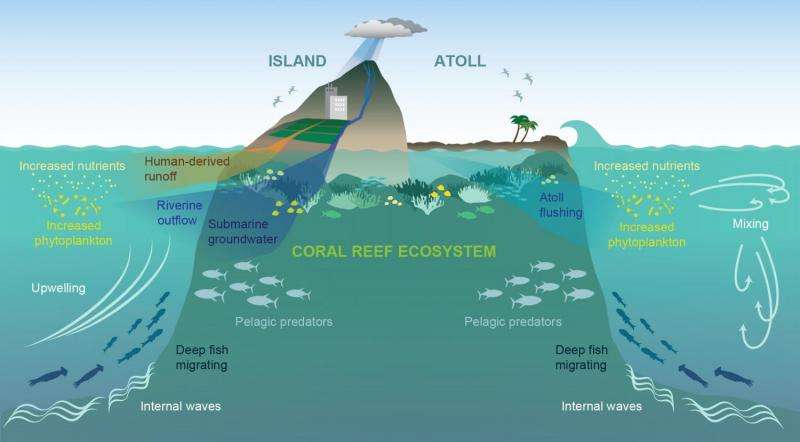Research explains near-island biological hotspots in barren ocean basins
