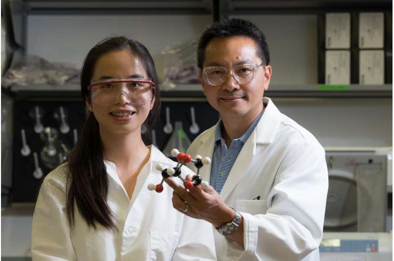 Rice University chemical engineers explore market for pure levoglucosan