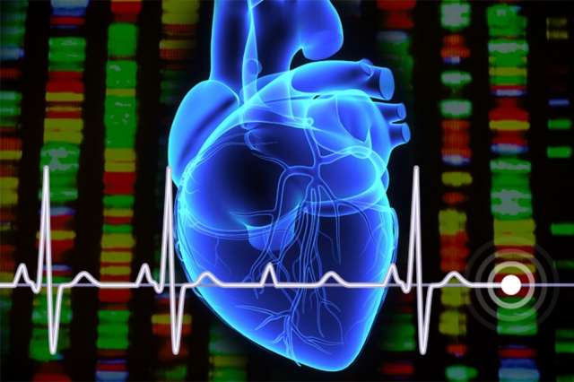 Study identifies new gene variants that may be targets for treating arrhythmia