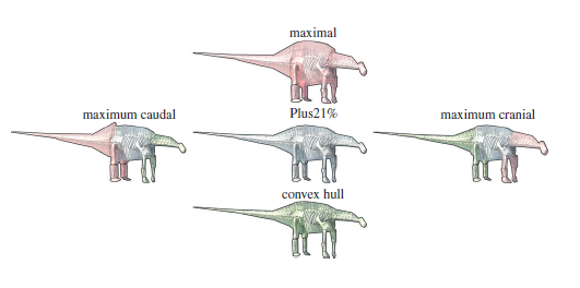 The evolution of sauropod dinosaurs