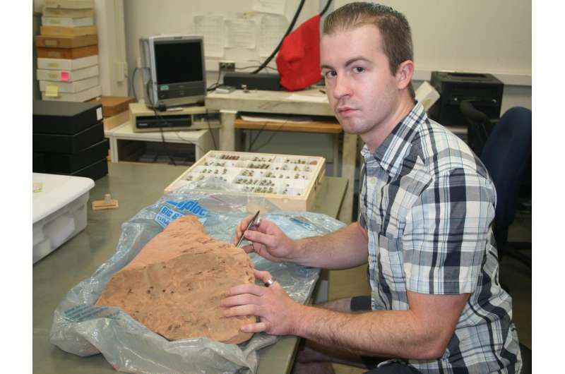 Utah State University doctoral student Michael Orr examines xeric bees' sandstone nests