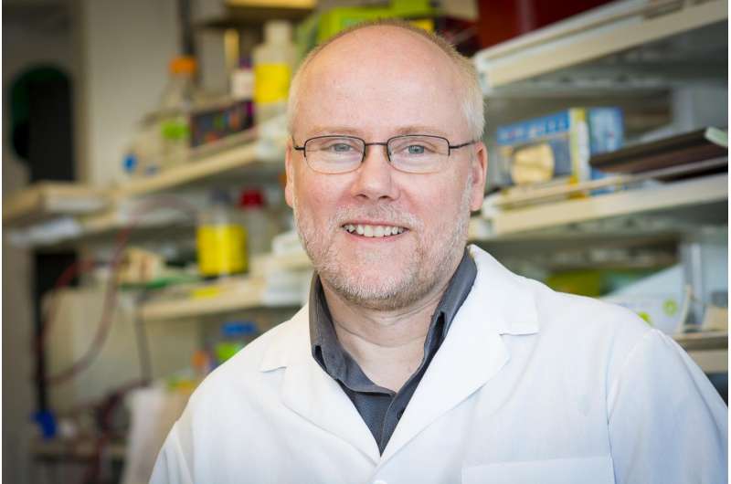 WSU researcher develops safer gene therapy
