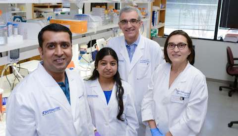 Scientists discover new therapeutic target for lung cancer driven by KRAS