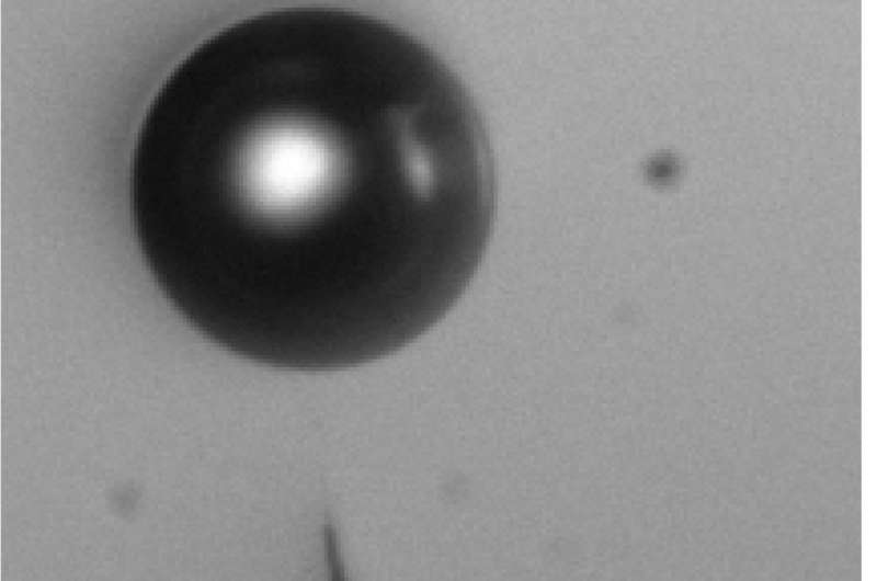 Researchers immobilize underwater bubbles