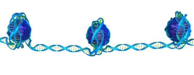 Scientists discover how 'super enzyme' speeds up DNA repair