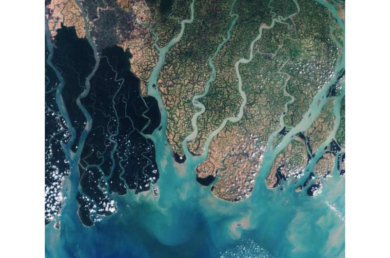 Image: Sentinel-2A view of the Sundarbans in Bangladesh