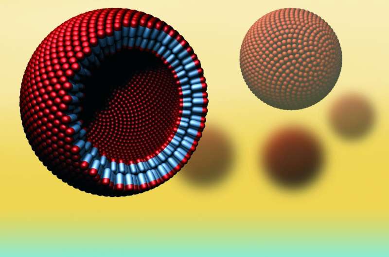 Physicists develop world's first artificial cell-like spheres from natural proteins
