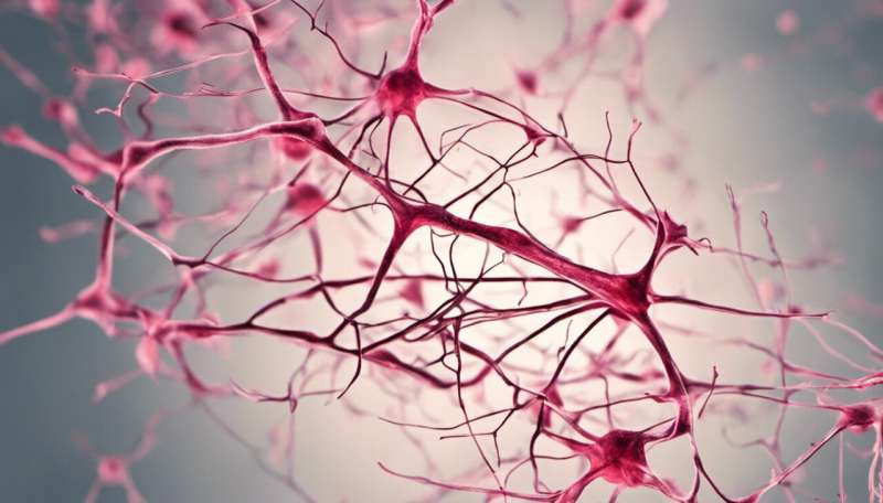 Scientists to treat Parkinson’s Disease with brain cell transplants