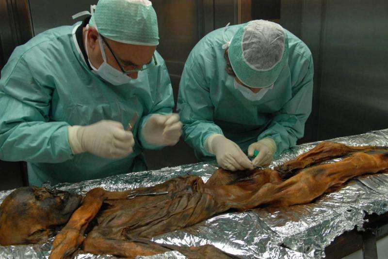 Scientists discover helicobacter pylori in the contents of Otzi's stomach