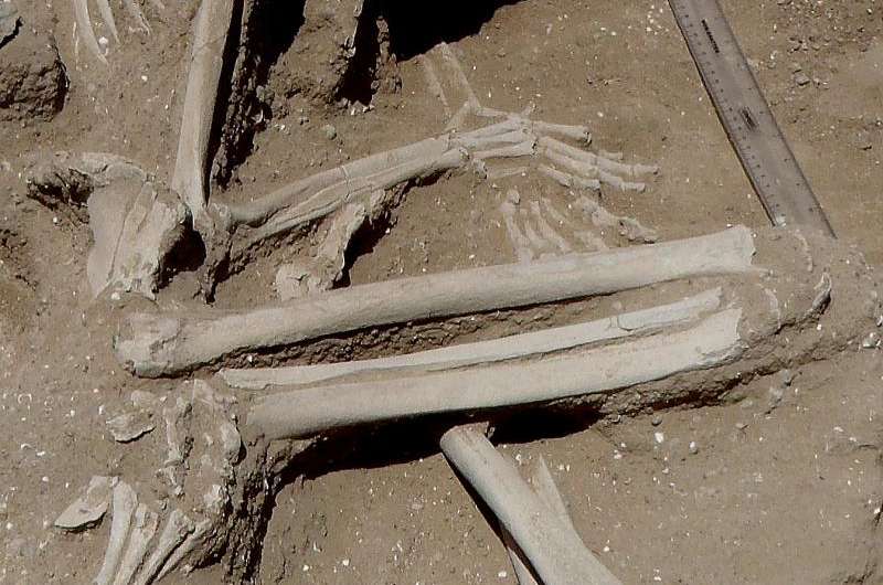 Evidence of a prehistoric massacre extends the history of warfare