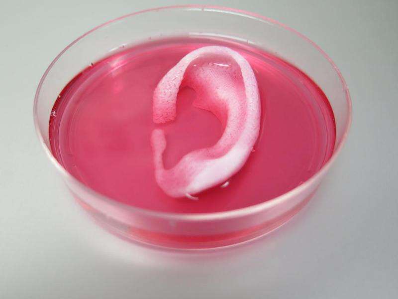 Scientists prove feasibility of 'printing' replacement tissue