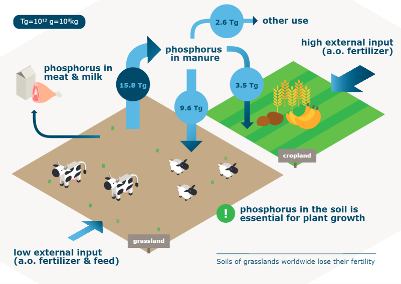 Better grassland fertilisation can improve the world’s food supply