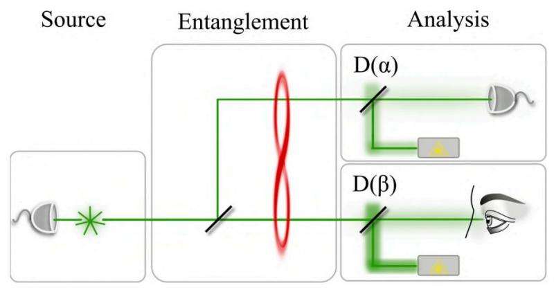 An idea for allowing the human eye to observe an instance of entanglement