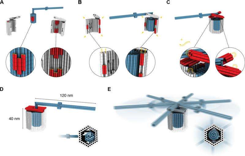 Researchers build nanoscale rotary apparatus using tight-fitting 3D DNA components