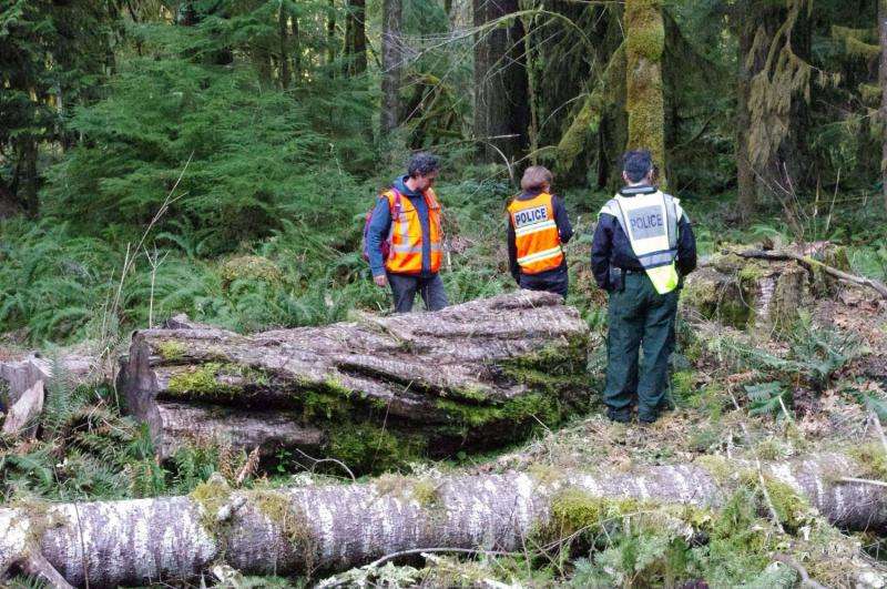 Genetic profiling of trees helps convict timber thieves