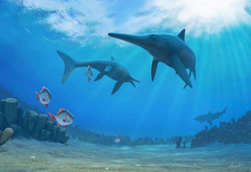 Slower evolution and climate change drove ichthyosaurs to extinction