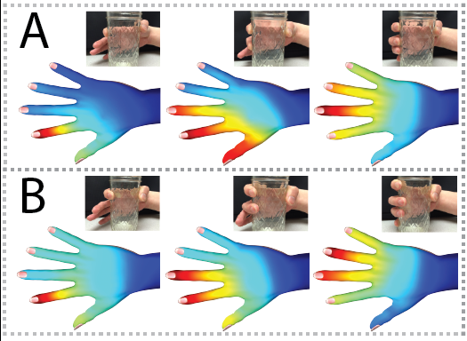 Team catalogs patterns of vibration on the skin of the hand that are part of how we sense the world through touch