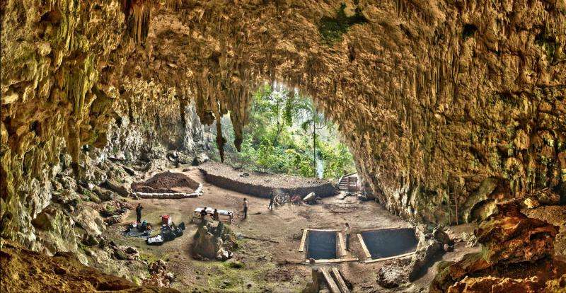 Indonesian 'Hobbits' may have died out sooner than thought
