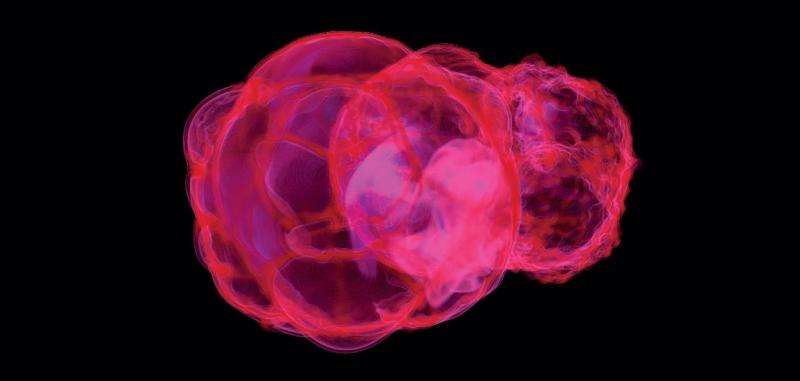 Proof that ancient supernovae zapped Earth sparks hunt for after effects