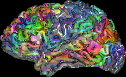 Brain's 'thesaurus' mapped to help decode inner thoughts