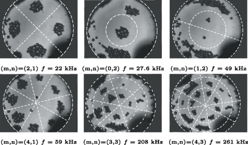 Researchers investigate Chladni Patterns in a Liquid at Microscale