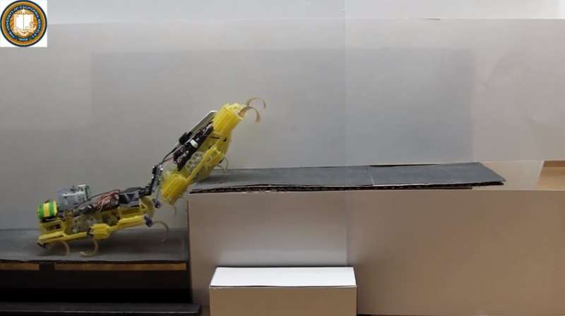 Researchers see the power of two in robot roaches making climb