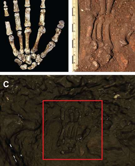 The high-tech 3D mapping of Homo naledi’s Dinaledi chamber