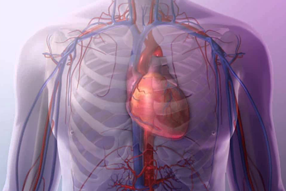 一项新的研究表明，NHS周末对心脏病患者有影响