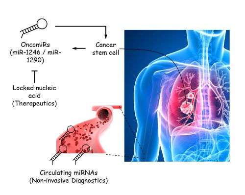 A New Way to Diagnose and Treat Lung Cancer