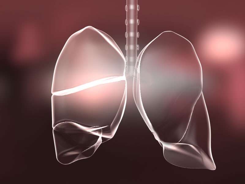Researchers inhibit tumor growth in new subtype of lung cancer
