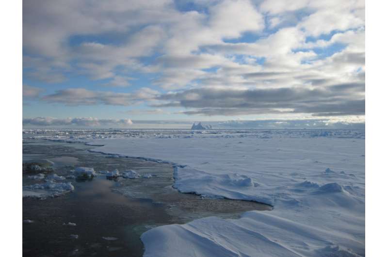 Freshening of Southern Ocean linked to moving sea ice