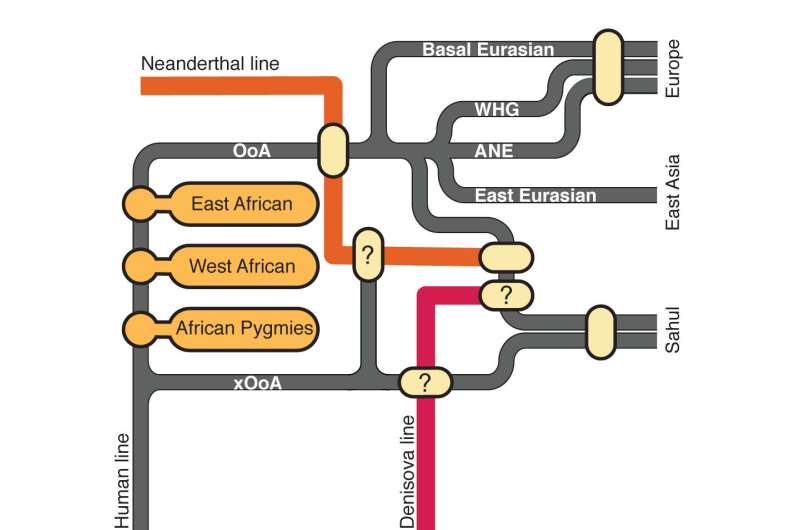 Human DNA tied mostly to single exodus from Africa long ago