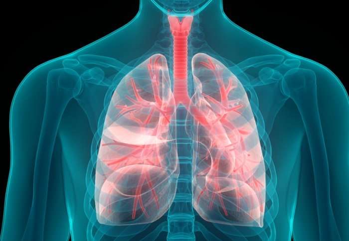 Blood pressure drug may boost effectiveness of lung cancer treatment