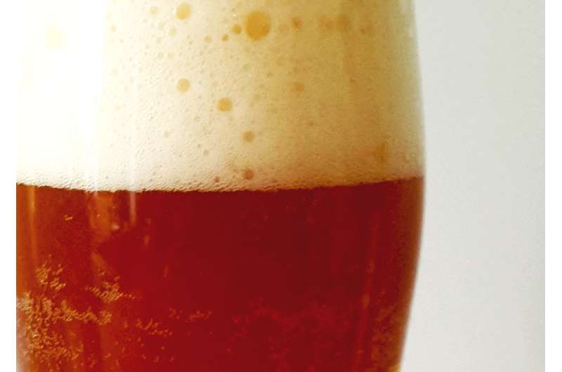 Beer yeasts show surprising diversity, genome study finds