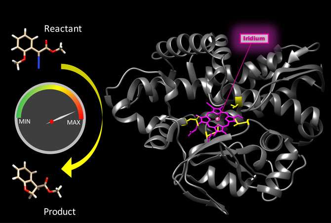 Scientists rev up speed of bionic enzyme reactions