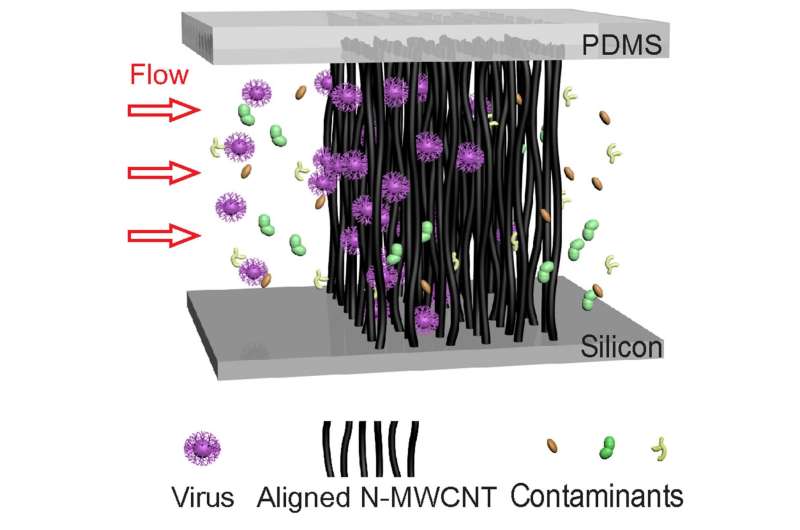 New, carbon-nanotube tool for ultra-sensitive virus detection and identification