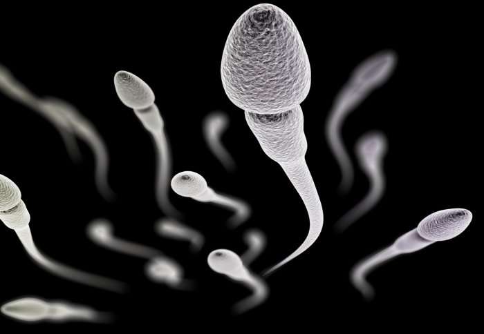 Spinning semen provides a measurement of fertility