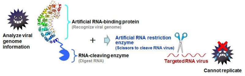 Prevention of RNA virus replication
